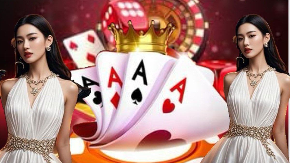 star bet star bet